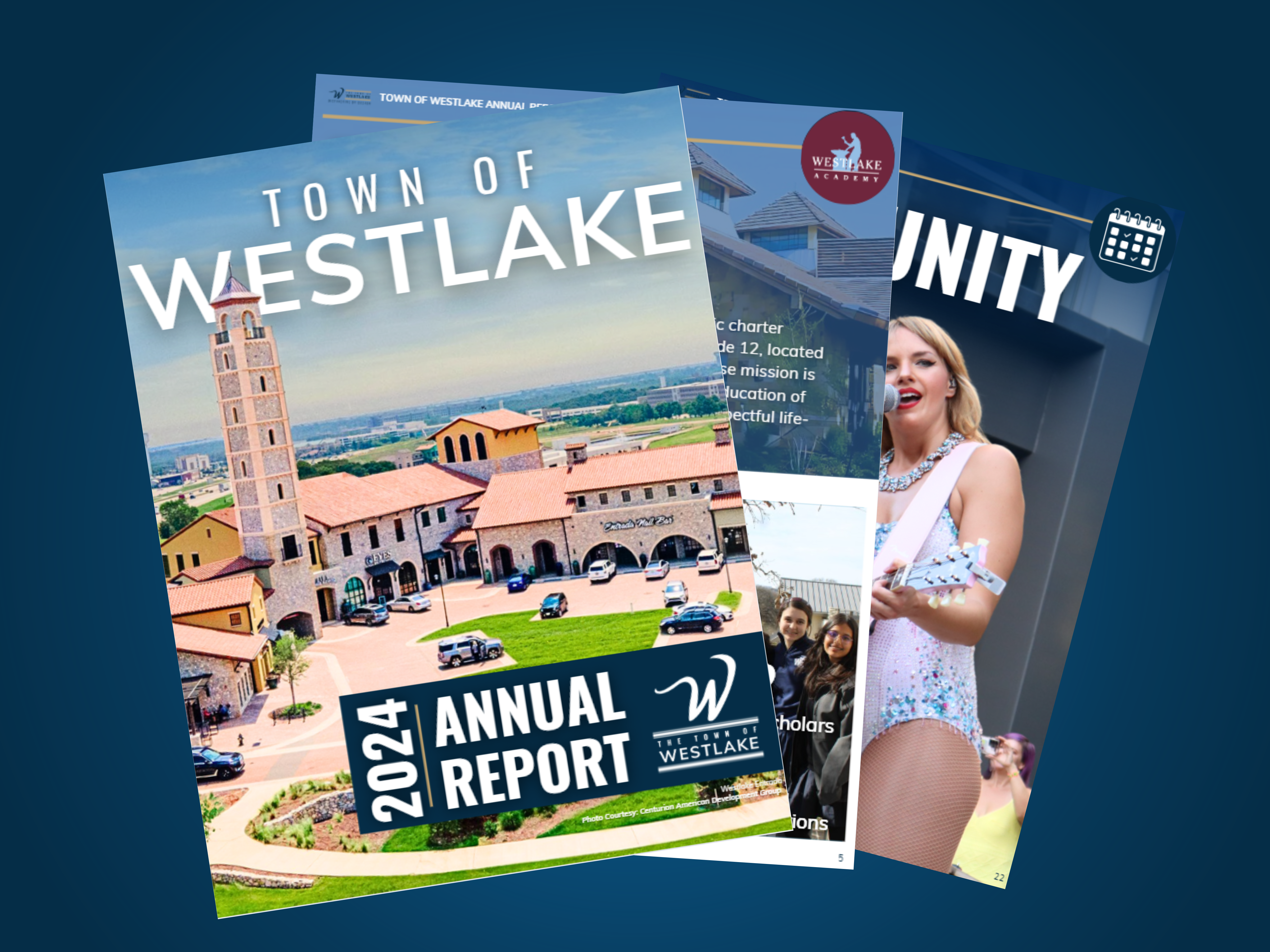 annal report screenshotted pages